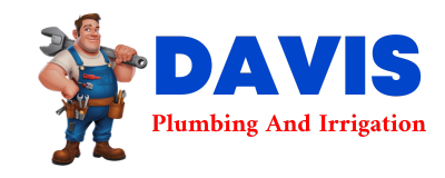 Trusted plumber in BUTTERNUT